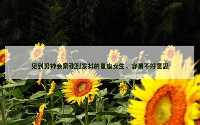 见到男神会紧张到发抖的星座女生，容易不好意思
