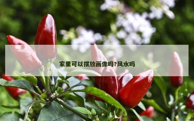 家里可以摆放画像吗?风水吗