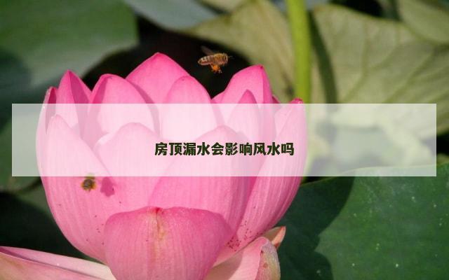房顶漏水会影响风水吗