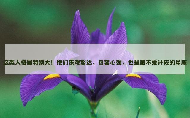 这类人格局特别大！他们乐观豁达，包容心强，也是最不爱计较的星座