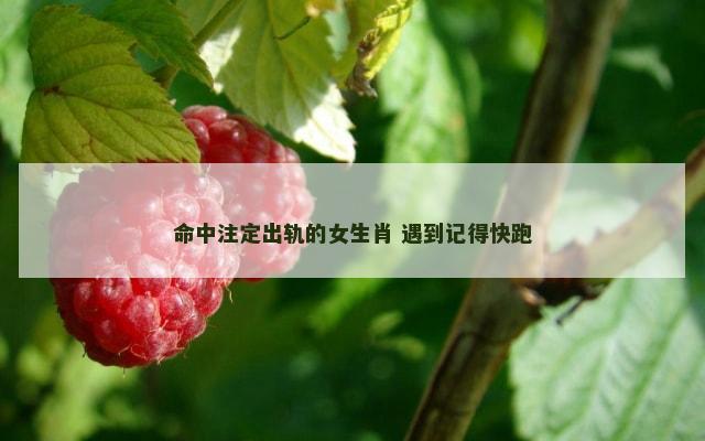 命中注定出轨的女生肖 遇到记得快跑