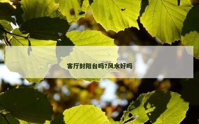 客厅封阳台吗?风水好吗