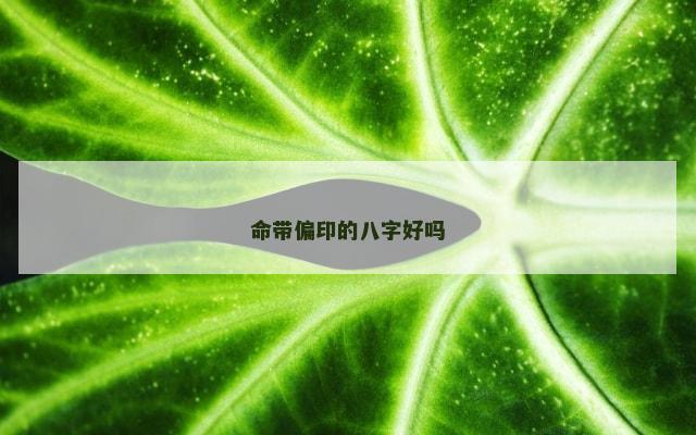 命带偏印的八字好吗