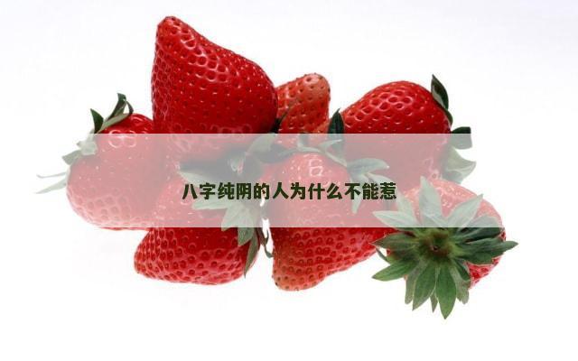 八字纯阴的人为什么不能惹