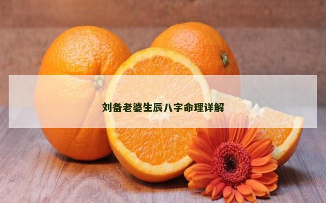 刘备老婆生辰八字命理详解