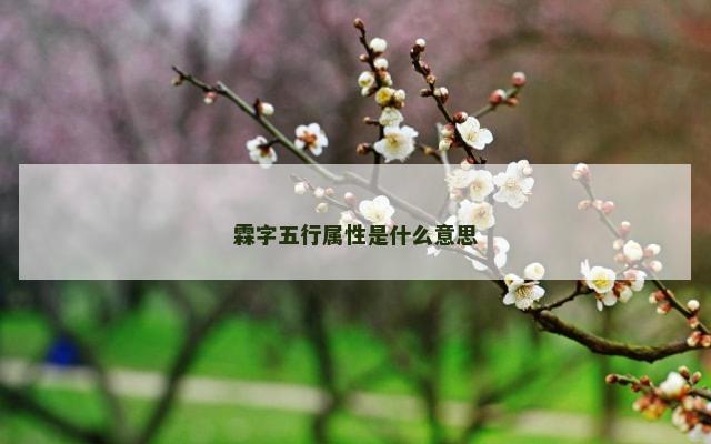 霖字五行属性是什么意思