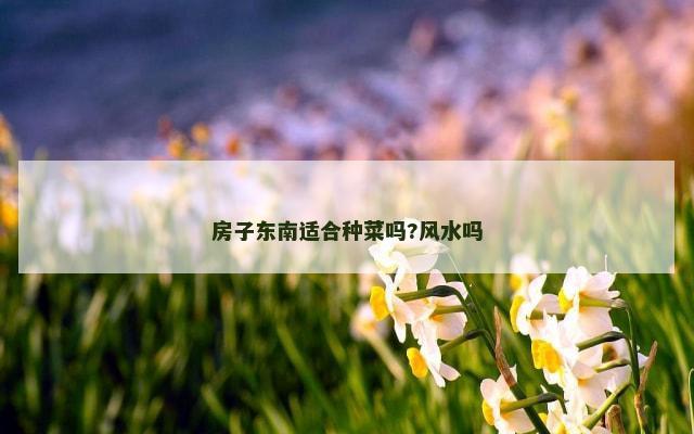 房子东南适合种菜吗?风水吗