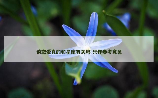 谈恋爱真的和星座有关吗 只作参考意见