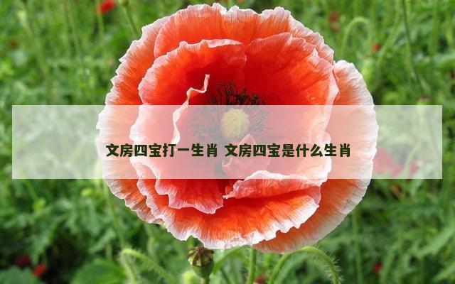 文房四宝打一生肖 文房四宝是什么生肖