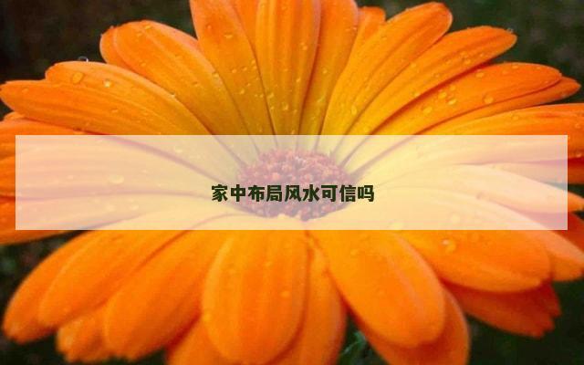 家中布局风水可信吗