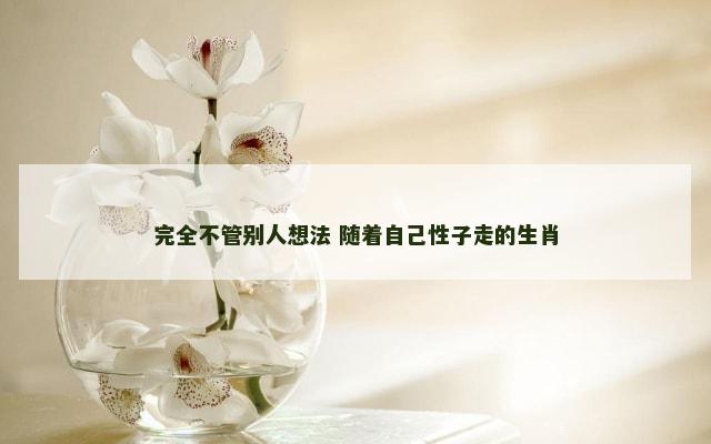 完全不管别人想法 随着自己性子走的生肖