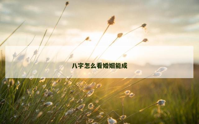 八字怎么看婚姻能成