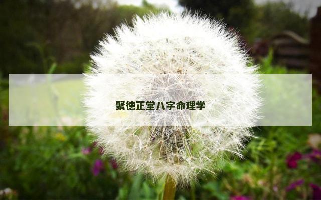 聚德正堂八字命理学