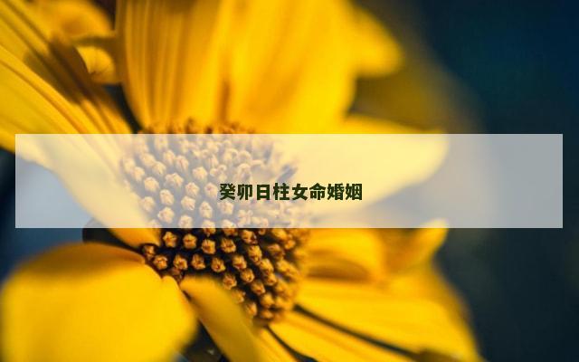 癸卯日柱女命婚姻