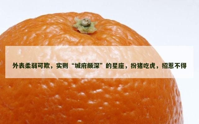 外表柔弱可欺，实则“城府颇深”的星座，扮猪吃虎，招惹不得