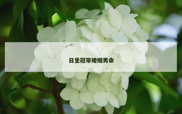 日坐冠带婚姻男命