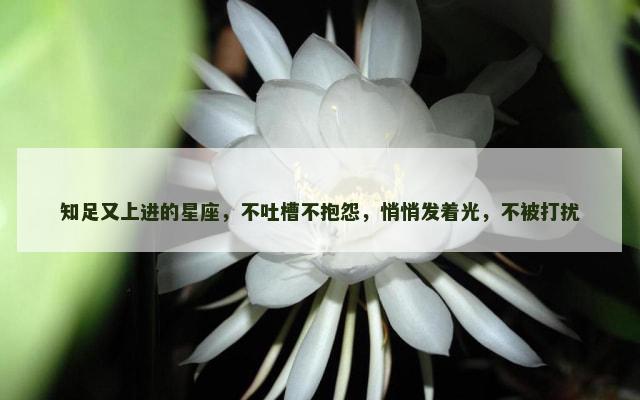 知足又上进的星座，不吐槽不抱怨，悄悄发着光，不被打扰