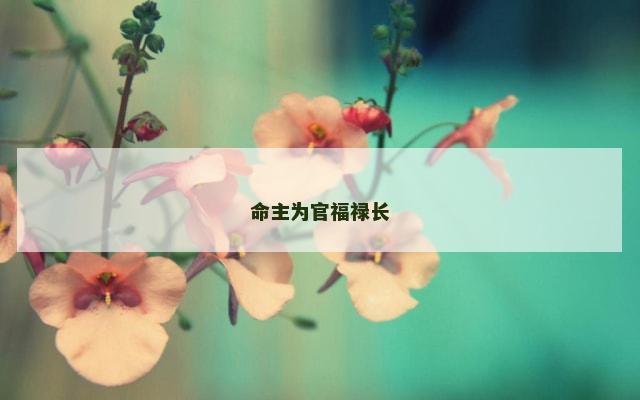 命主为官福禄长