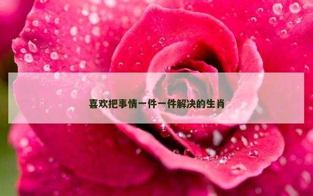 喜欢把事情一件一件解决的生肖