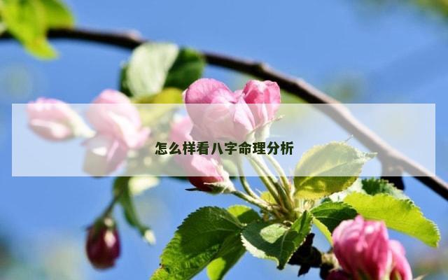 怎么样看八字命理分析