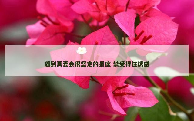 遇到真爱会很坚定的星座 禁受得住诱惑