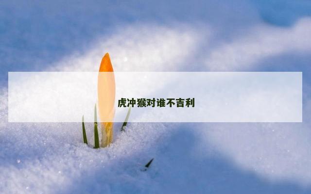 虎冲猴对谁不吉利