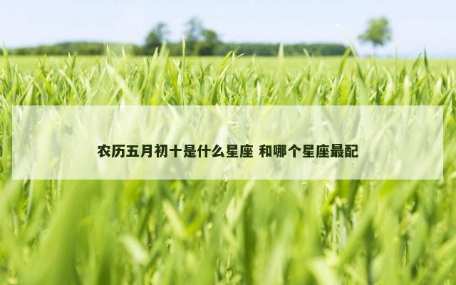 农历五月初十是什么星座 和哪个星座最配