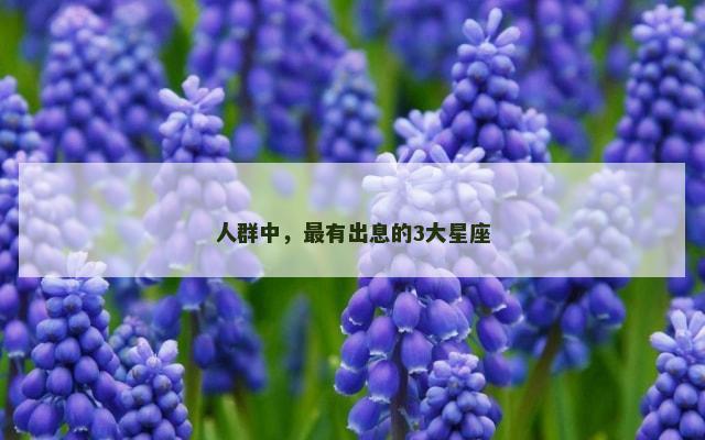人群中，最有出息的3大星座