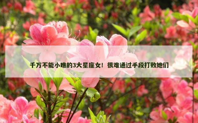 千万不能小瞧的3大星座女！很难通过手段打败她们