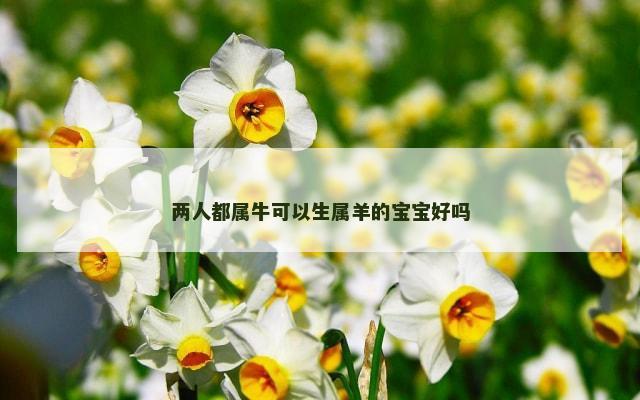 两人都属牛可以生属羊的宝宝好吗