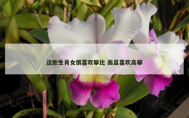 这些生肖女很喜欢攀比 而且喜欢高攀