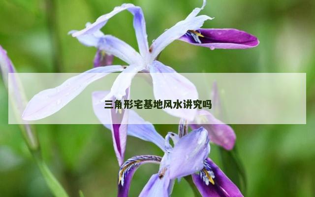 三角形宅基地风水讲究吗