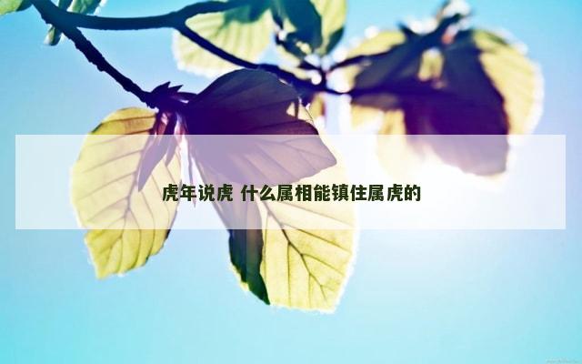 虎年说虎 什么属相能镇住属虎的