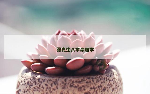 张先生八字命理学