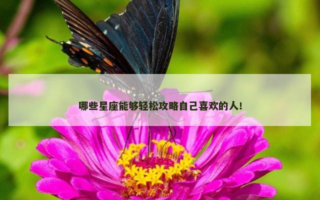 哪些星座能够轻松攻略自己喜欢的人！