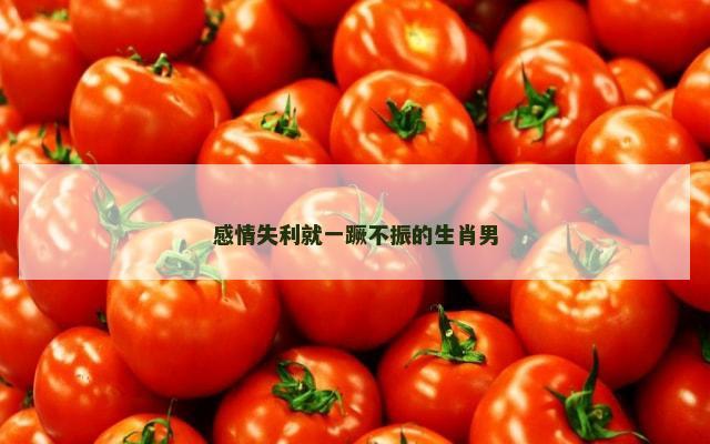 感情失利就一蹶不振的生肖男