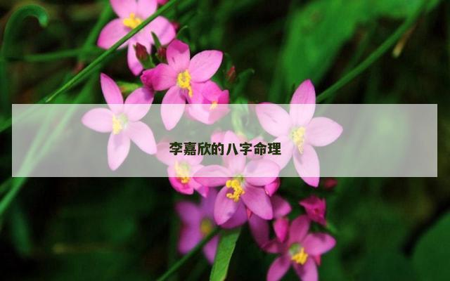 李嘉欣的八字命理
