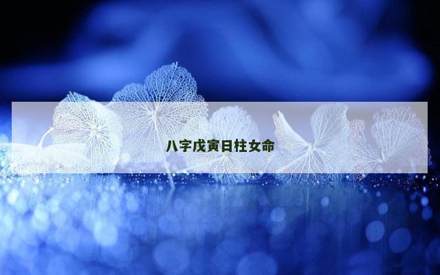 八字戊寅日柱女命