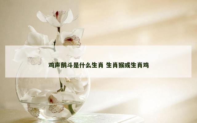 鸡声鹅斗是什么生肖 生肖猴或生肖鸡