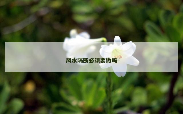 风水隔断必须要做吗
