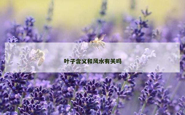 叶子含义和风水有关吗