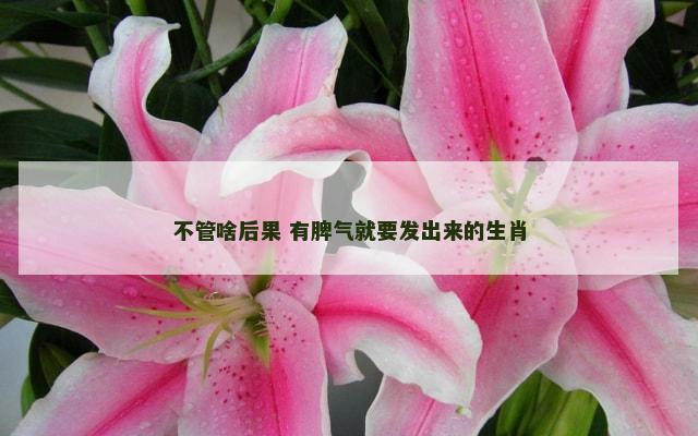 不管啥后果 有脾气就要发出来的生肖