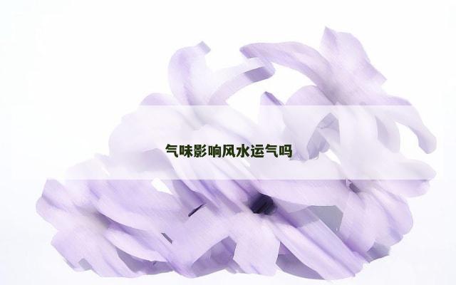 气味影响风水运气吗