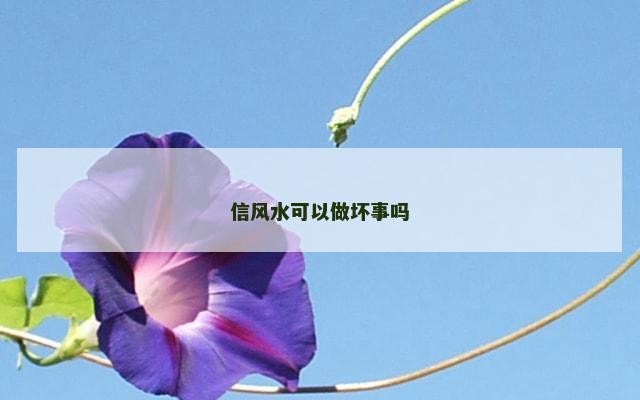 信风水可以做坏事吗