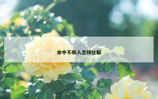 命中不和人怎样化解
