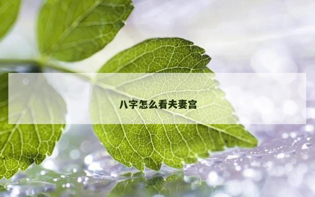 八字怎么看夫妻宫