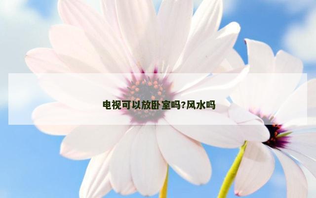 电视可以放卧室吗?风水吗