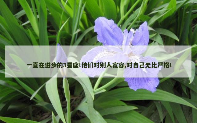 一直在进步的3星座!他们对别人宽容,对自己无比严格!
