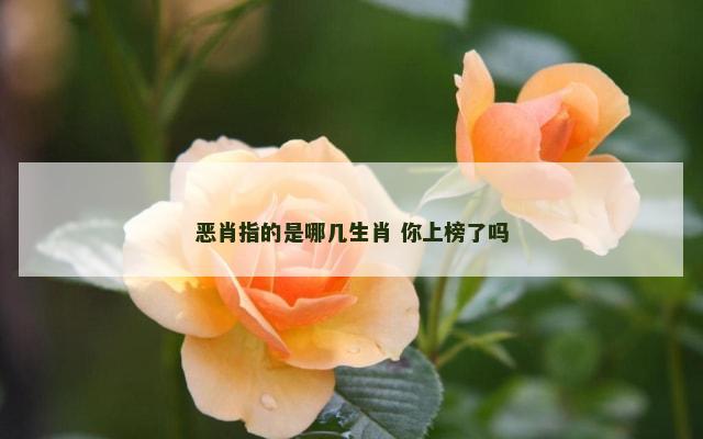 恶肖指的是哪几生肖 你上榜了吗