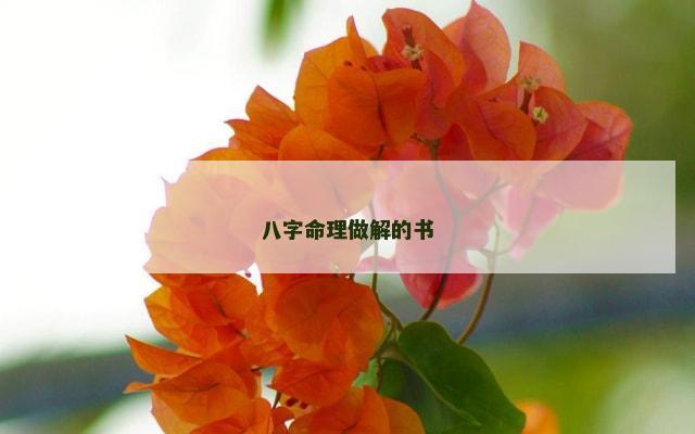 八字命理做解的书
